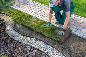 Fachgerecht verlegter Rollrasen